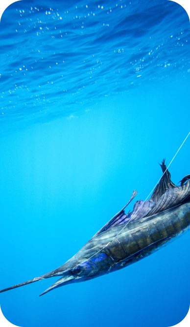 Fishing Guatemala